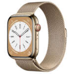 Apple Watch Series 8 Stainless Steel