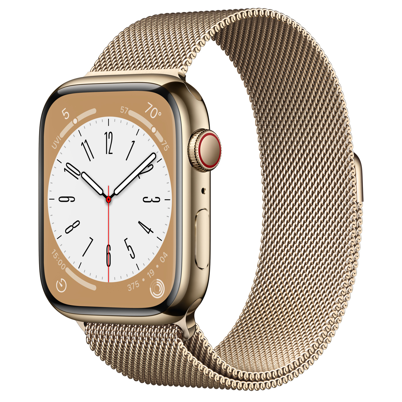 Apple Watch Series 8 Stainless Steel